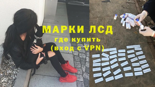 ПСИЛОЦИБИНОВЫЕ ГРИБЫ Аркадак