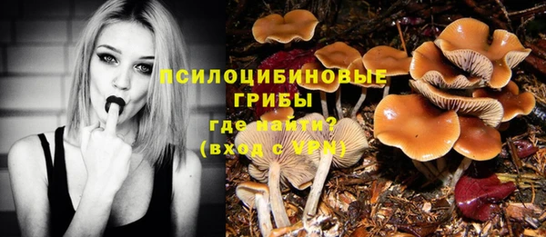 стаф Осинники